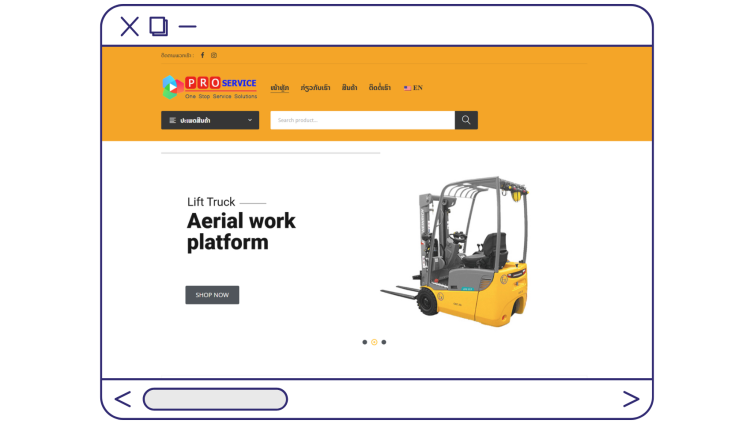 Pro Service